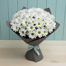 Букет цветов из:  Хризантемы #REPLACE_PRED# Сабурово
