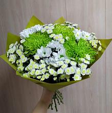 Букет цветов из:  Хризантемы #REPLACE_PRED# Сабурово