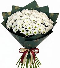 Букет цветов из:  Хризантемы #REPLACE_PRED# Сабурово