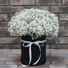 Цветочная композиция из Гипсофила в шляпной коробке #REPLACE_PRED# Сабурово