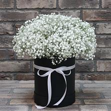 Цветочная композиция из Гипсофила в шляпной коробке в Сабурово