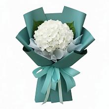 Букет цветов из:  Гортензия в Сабурово